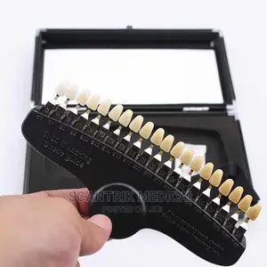 Clinical Instrument Dental Tooth Shade Guide