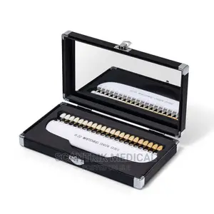 Sleek and Professional Dental Tooth Shade Guide