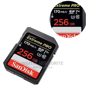 256GB Extremely Pro SD Memory Card 4k 170mb/S