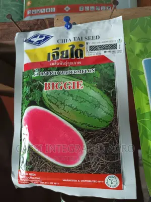 40g Biggie F1 Watermelon Seed