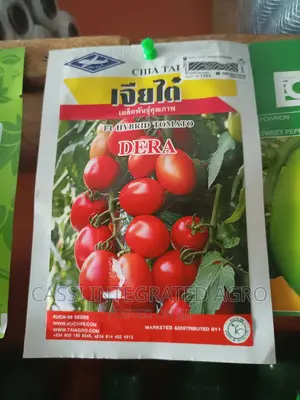 5g Dera F1 Tomato Seed