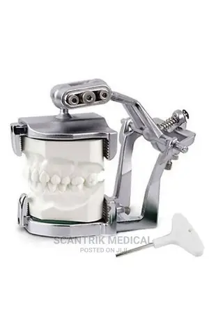 Magnetic Articulator Serrated C-Clamps for Teeth Model