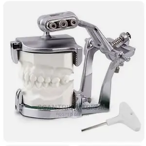 Adjustable Magnetic Articulator Tooth Stainless Steel