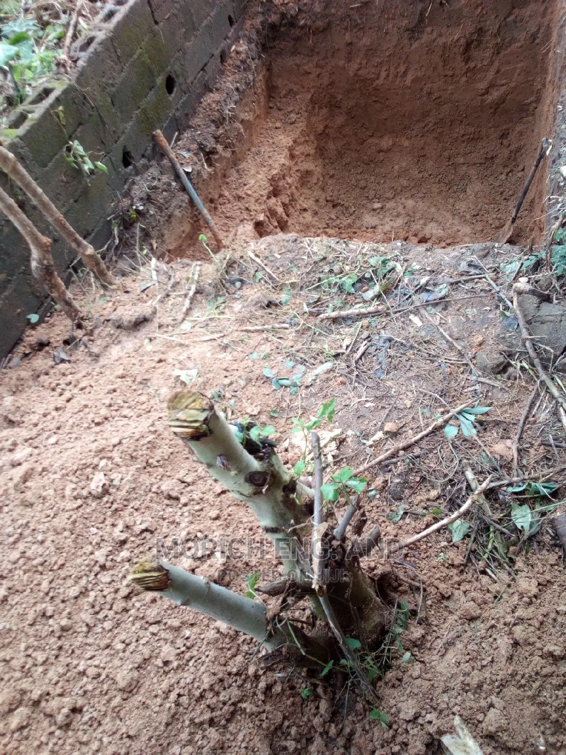 Septic Tank and Soak Away Construction