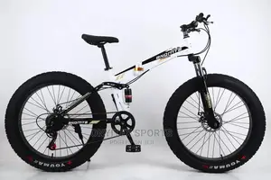 Commercial Sports Bike