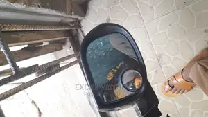 Side Mirror Acura TSX 2009/10