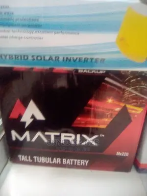 220ah Tall Tubular Battery