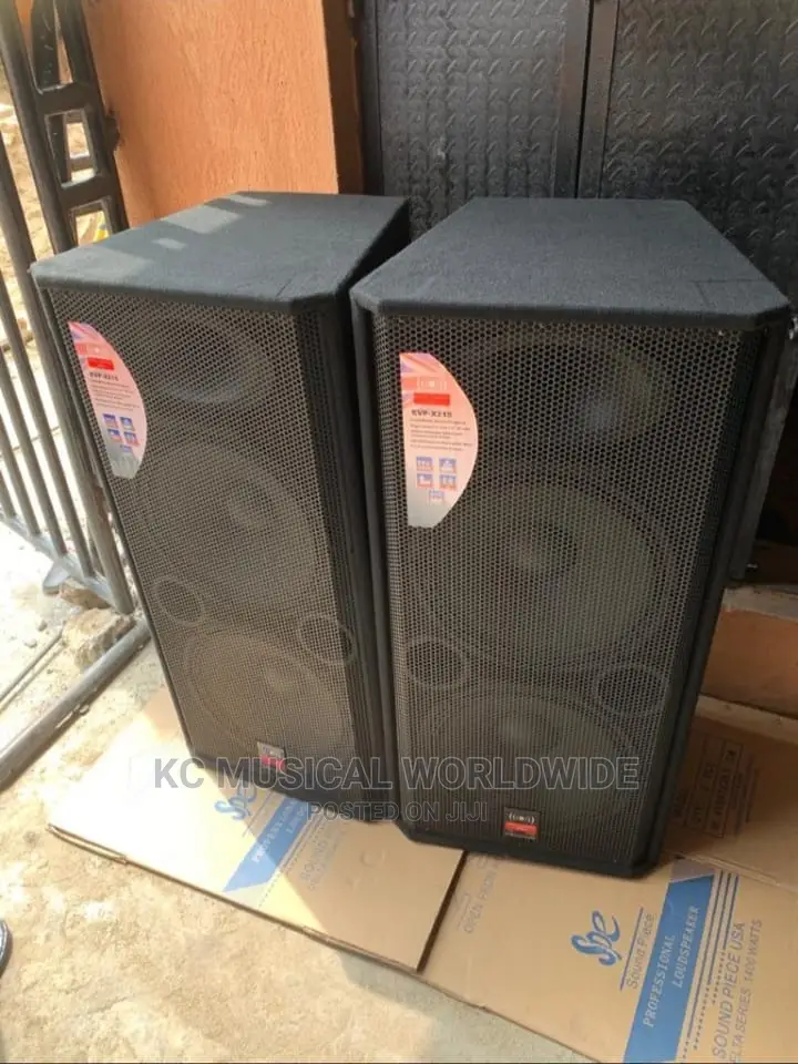 Double Speaker Model Evpx215