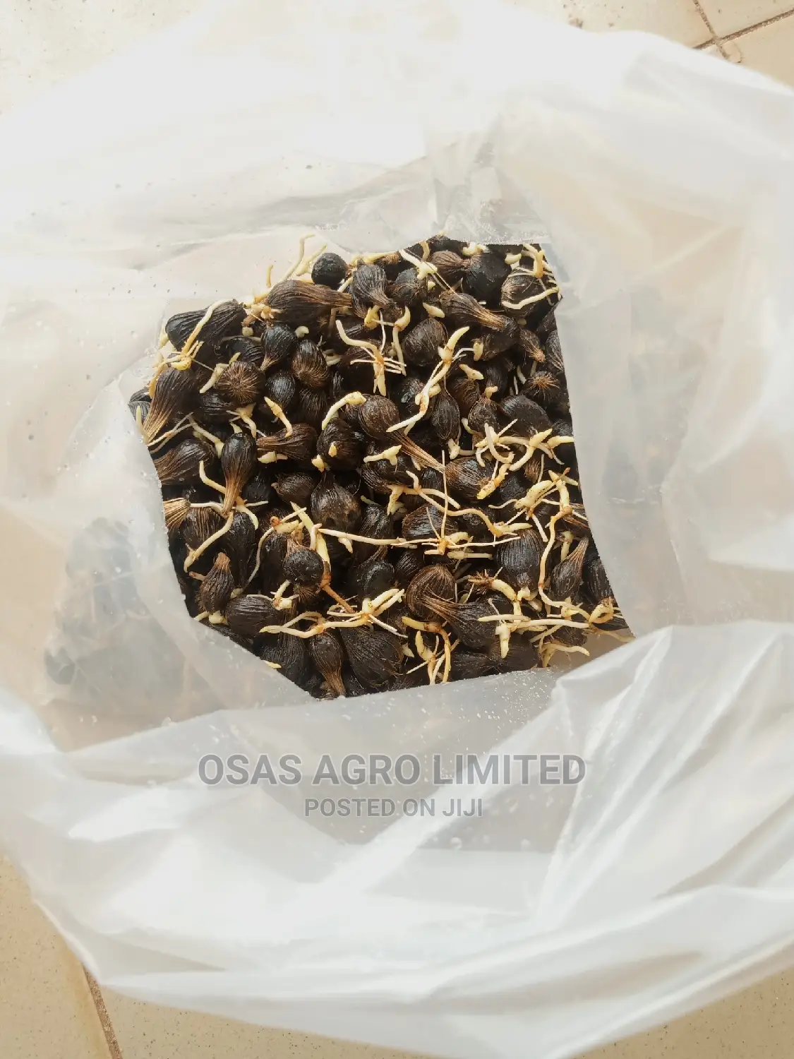 Choice Super Gene Sprouted Nuts