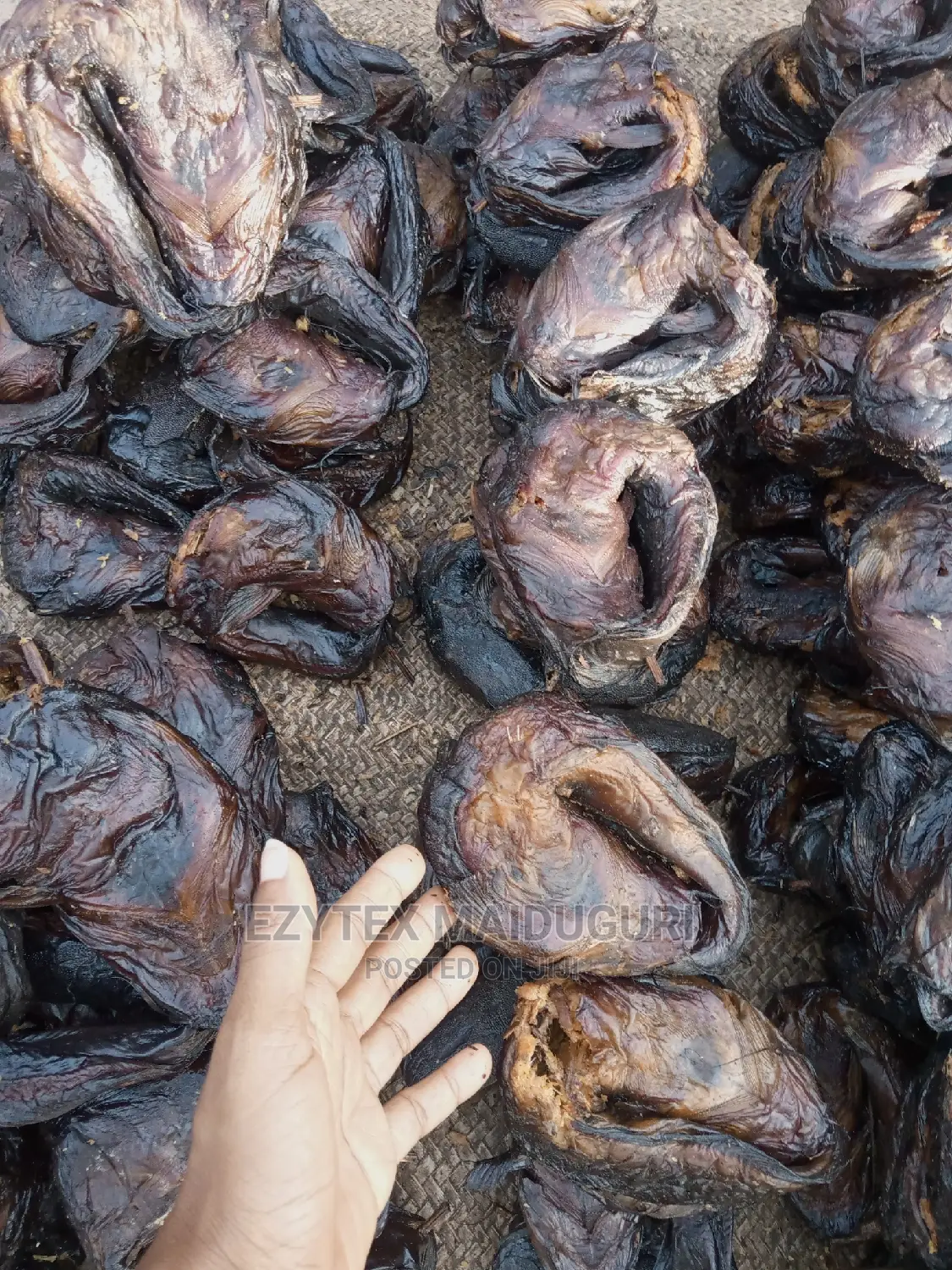 Chad Dried Catfish in Cartons