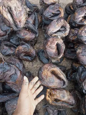 Chad Dried Catfish in Cartons