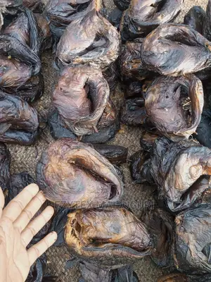Chad Dried Catfish in Cartons