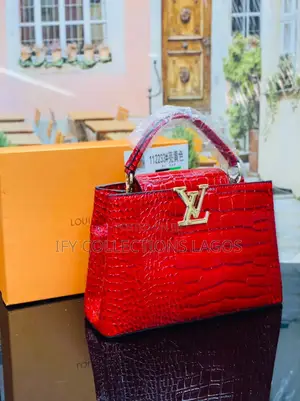 Luis Vuitton Handbags