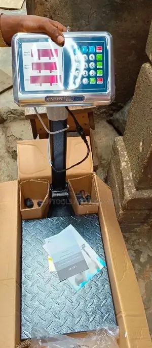 100kg Original Camry Scale