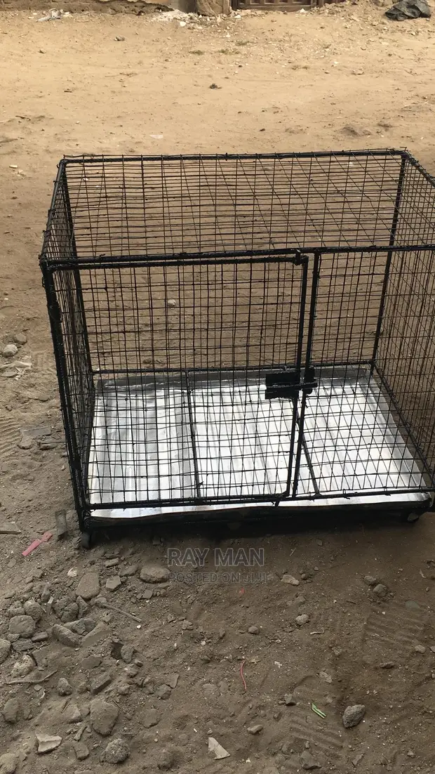 Alappuzha Dog Cage Online Olx Dog Cages For Sale In Ojo Pet
