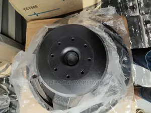 18"Big Magnet and Big Cone Oceanic