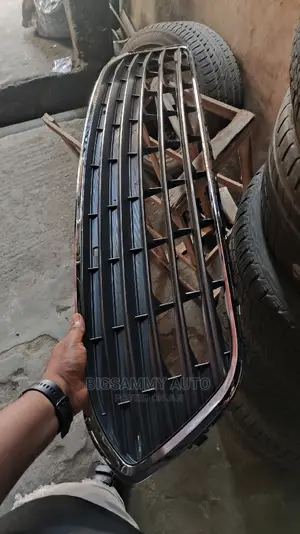 Avalon 2017 Grill / Grilles