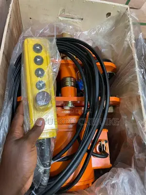 Electronic Hoist 1tons 100%Copper High Quality Machine
