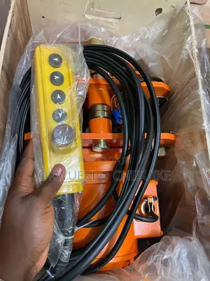Electronic Hoist 1tons 100%Copper High Quality Machine