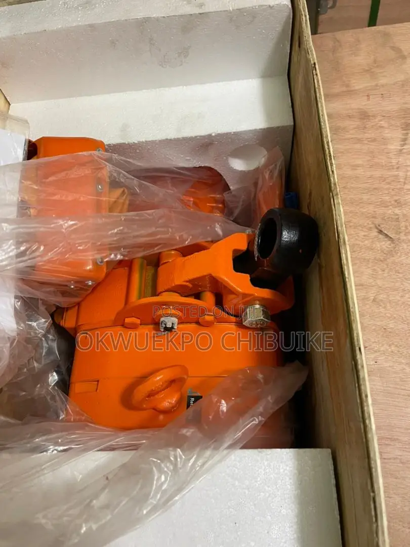 Electronic Hoist 1tons 100%Copper High Quality Machine