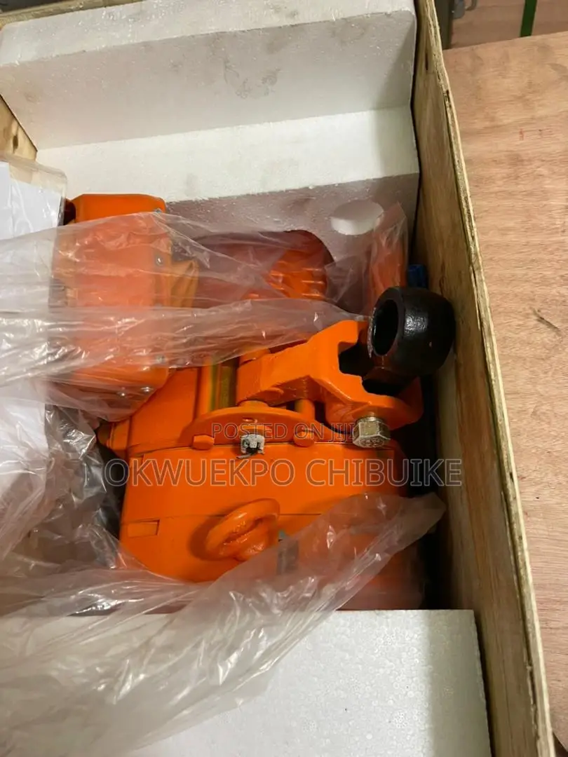 Electronic Hoist 1tons 100%Copper High Quality Machine