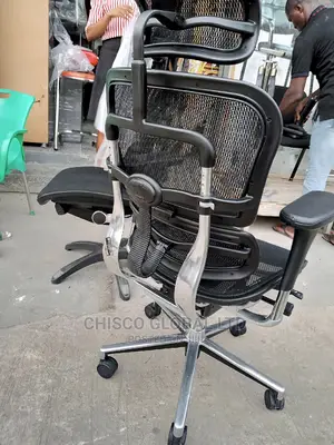 Office Chairs (Orthopedic)