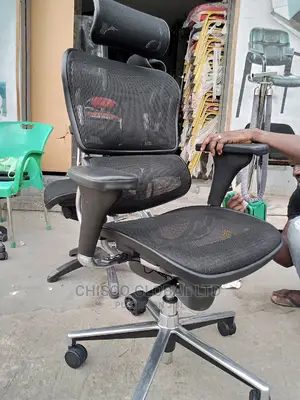 Office Chairs (Orthopedic)