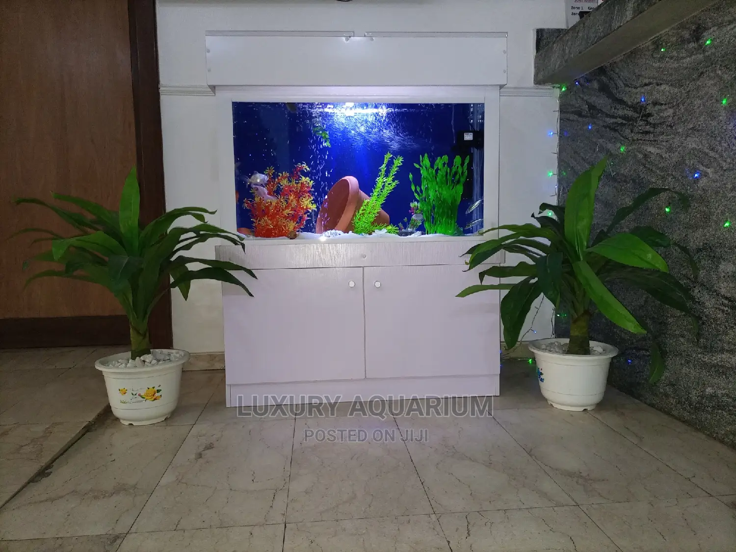 Luxury Aquariums Ng