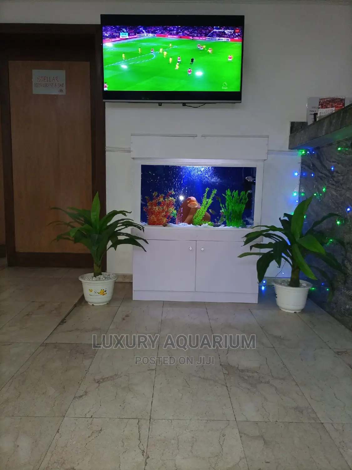 Luxury Aquariums Ng
