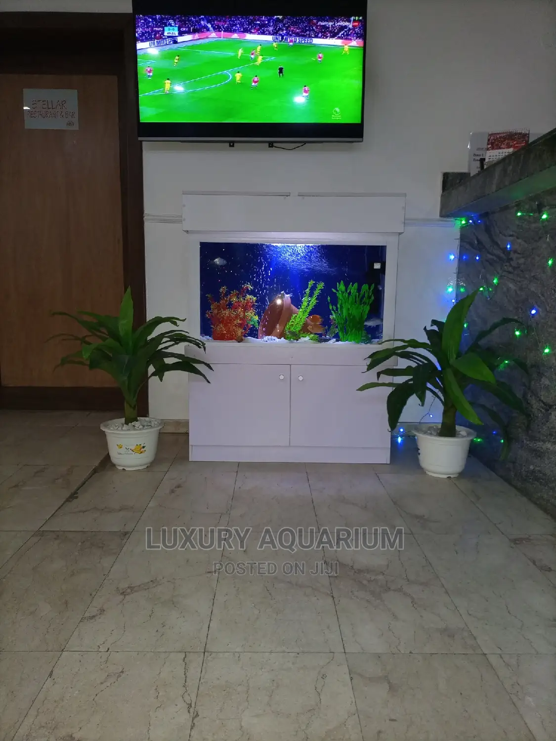 Luxury Aquariums Ng