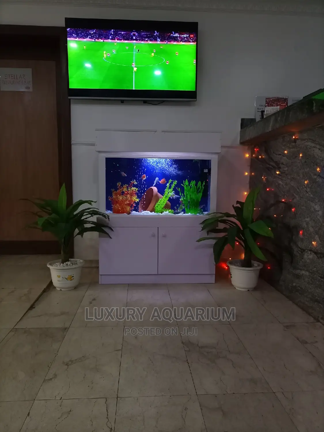Luxury Aquariums Ng
