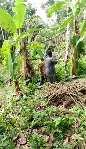 2 Hectare Land At Aponmu