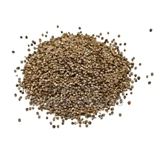 Vitex Chaste Berry - 100g