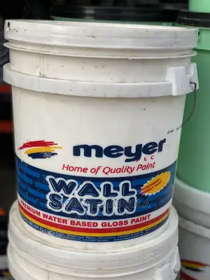 Meyer Paints