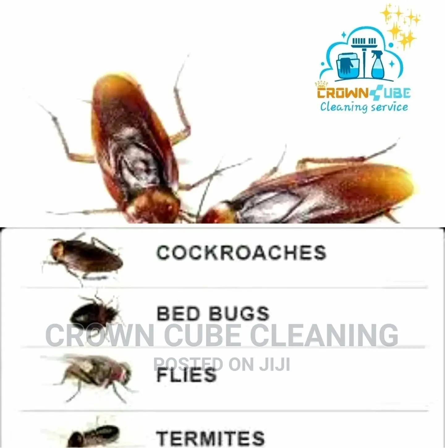 Pest Fumigation Services