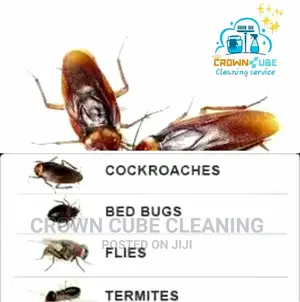 Pest Fumigation Services