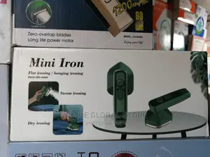 Mini 2 in 1 Dry and Streaming Iron