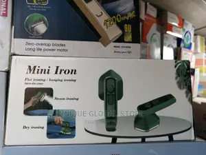 Mini 2 in 1 Dry and Streaming Iron