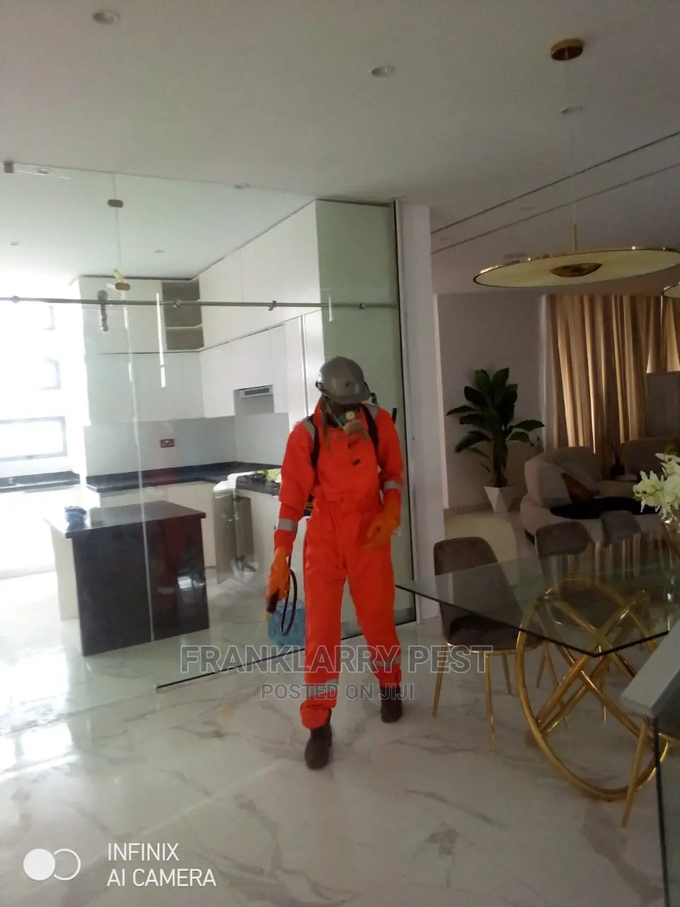 Fumigation And Cleaning Service