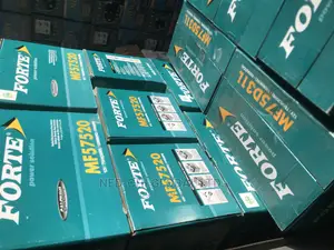 Original Battery Fortes 75ahs for Cars