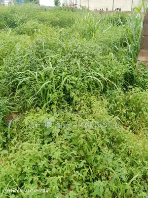 This Is a 1000 Sqm of Land Sitting in G.R.A Enugu