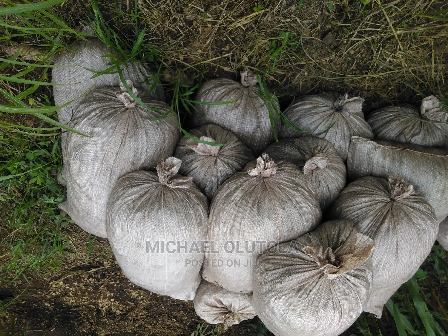 Rich Poultry Manure