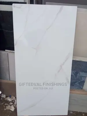 60X120 High Quality Spanish Tiles.