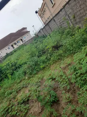 Dry Large Full Plot on an Interlocked Street in Amuwo Odofin