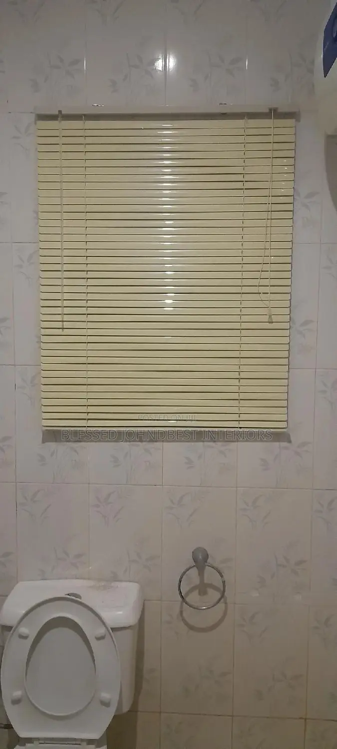 Toilet Window Blinds