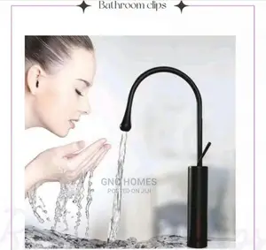Executive Kitchen Sink or Basin Mixer Tap/Countertop Tap