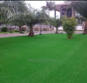 Artificial Grass
