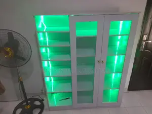 Shoe and Bag Shelf