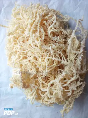 Raw Sea Moss (100gm)