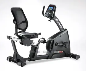 Commercial Recumbent Bike